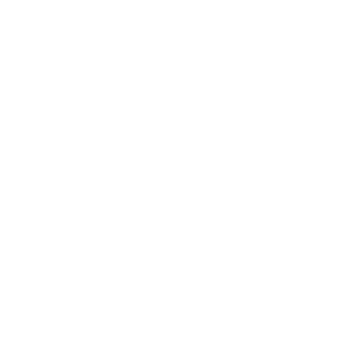 Group_1000004699-removebg-preview